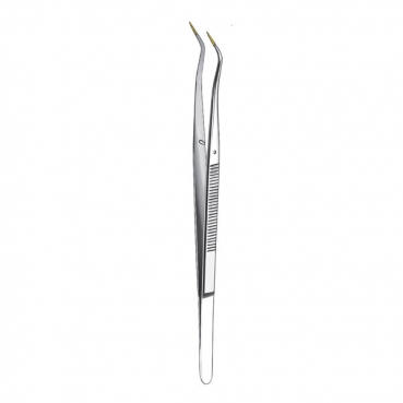 773AS PINZA COLLEGE