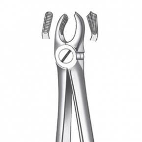 M2017 FORCEPS MOLAR SUP. DCHO.