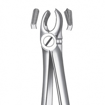M2017 FORCEPS MOLAR SUP. DCHO.